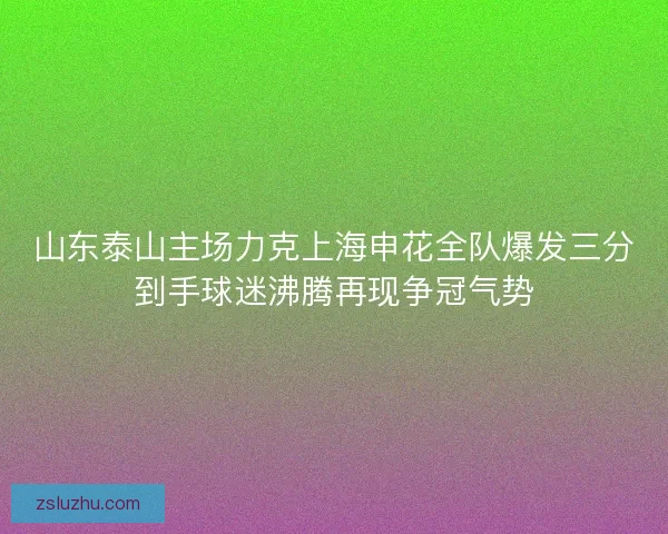 山东泰山主场力克上海申花全队爆发三分到手球迷沸腾再现争冠气势