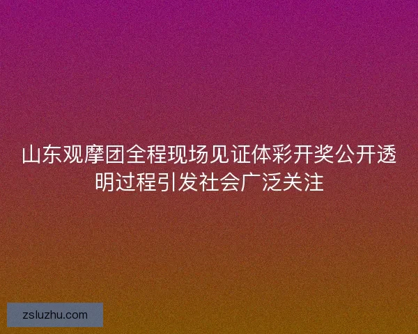 山东观摩团全程现场见证体彩开奖公开透明过程引发社会广泛关注