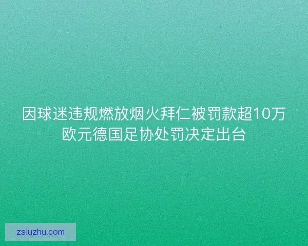 因球迷违规燃放烟火拜仁被罚款超10万欧元德国足协处罚决定出台